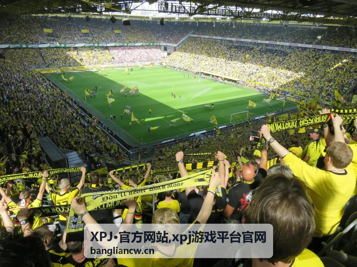 xpj游戏平台官网移动端浏览说明
